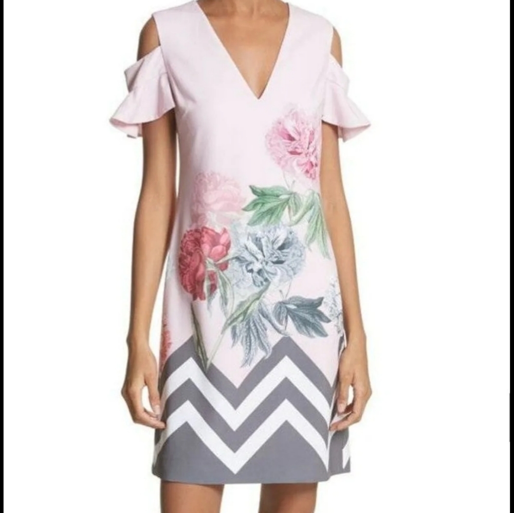 Pink Floral Chevron Ted Baker Dress